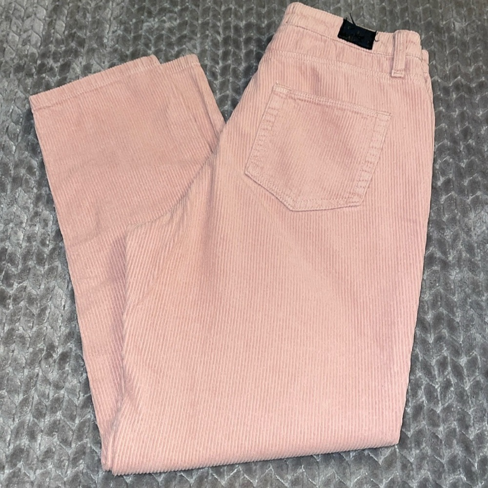 Urban Outfitters BDG Mom High-Rise Pink Corduroy Tapered Leg Pants.  Size 29